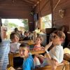Leolandia8
